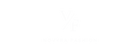 Novyra Fashion